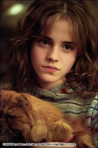 Which undeclared animagus did Hermione discover?