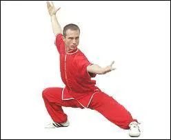 What is this sport ?