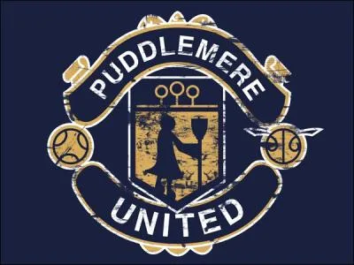 What year was the Quidditch team Puddlemere United founded in?