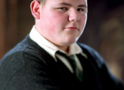 Quiz Who's Who In Harry Potter?