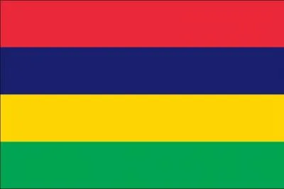 Which country has adopted this flag?