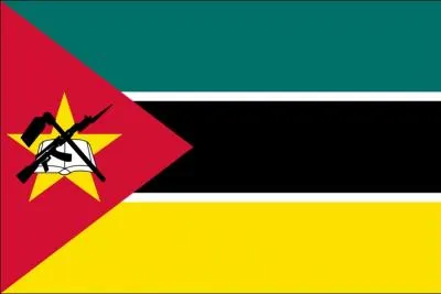 Which country has adopted this flag?
