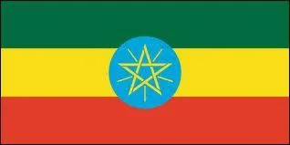 To which African country does this flag correspond?