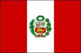 To which South American country does this flag belong?