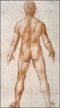 Who made this study 'Nude man seen from behind'?