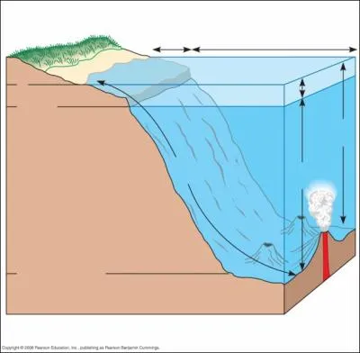 The Benthic Zone in an aquatic biome is...