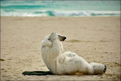 What are the two most important factors limiting the geographic ranges of plants and animals?