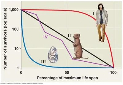 The purple curve IV represents a population that...