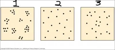 Plot 1 is an example of what type of dispersion?