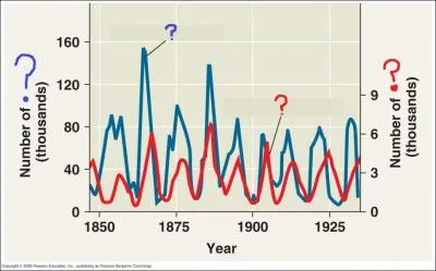 The red question mark population is most likely composed of...