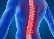 Quiz Anatomie : la colonne vertébrale