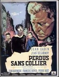 ... ... lost without collar