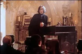 What is the potions teacher's patronus?