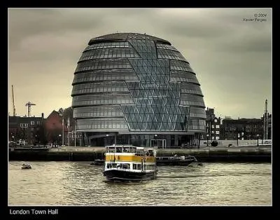 Identify this Picture