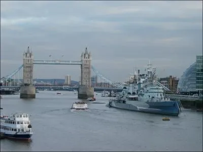 Identify this Picture