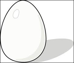 This egg is _______________