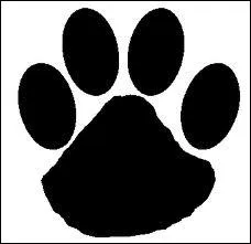 What's the colour of this animal print?