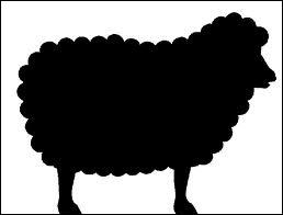What's the colour of the sheep?