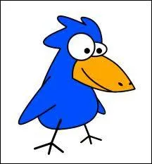 What's the colour of this bird?