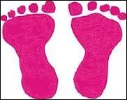 These foot prints are _________