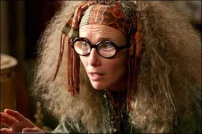 Which actress plays Trelawney?