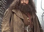 Quiz La biographie complète de Hagrid (Harry Potter)