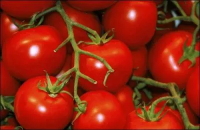 What kind of food are these?