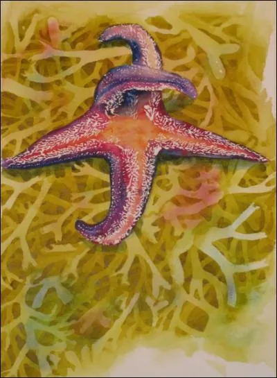 What kind of creature is this?