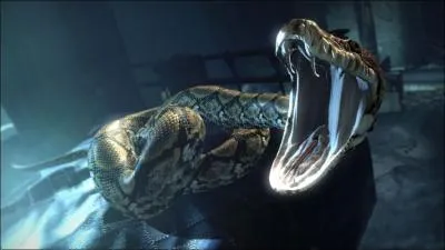 How do Voldemort and Nagini communicate?