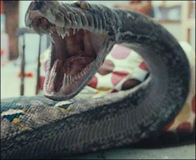 What sex is Nagini?