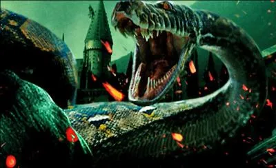 How is Nagini killed?