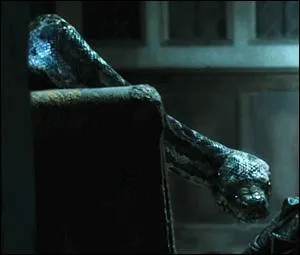 What are the characteristics of its venom?