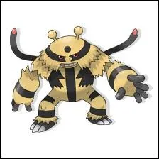 What is the name of this Pokemon?