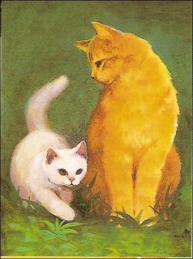 To begin with, who are the two cats in the picture?