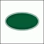 What brand is inscribed in the oval of this logo?