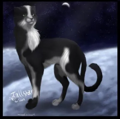 What might Etoile Filante's warrior name be? (related to his physique)