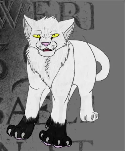 What is Jet Star's warrior name?