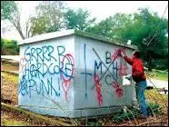 What is the crime you see in the picture?