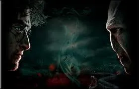 Which language, like Voldemort, is Harry able to speak?