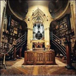 What do the passwords for Dumbledore's office all have in common?