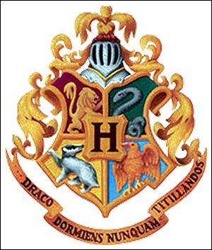 What does the Hogwarts motto '' Draco Dormiens Nunquams Titillandus '' mean?