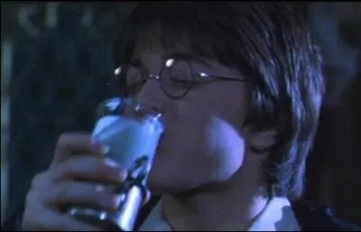 What is the potion Harry and Ron use to transform into Crabbe and Goyle?