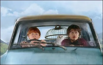 Which model is the Weasleys' flying car