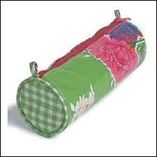 You put your pencil, pen, rubber, colours in your ...