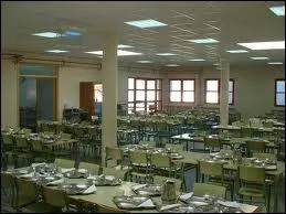 Where do you have your lunch?