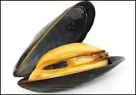 In Dublin there was a woman called Moolly Malone who sold Cockles and ...