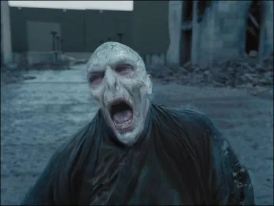 When does Voldemort die?