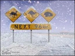 When does winter begin in Australia?