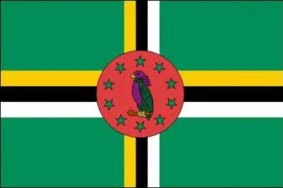 Which country does this flag belong to?