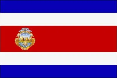 Which country does this flag belong to?